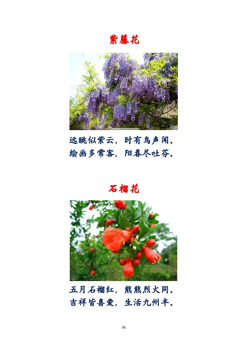 选萃推荐李金坤教授的作品：百花百诗总关情｜海外头条（图57）