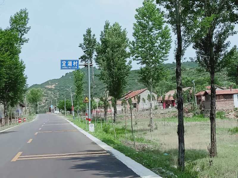 定湖村名字的来历：作者·弓江燕 ·王翌晖·李来旺｜诵读秦健｜海外头条（图2）