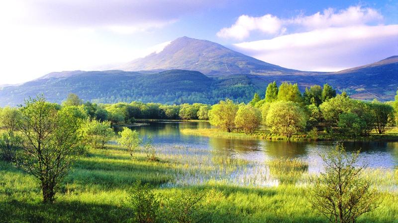 上海诗社专稿 五律•炎夏 七律•清秋闲吟 专辑五【冰心文化传媒】（图21）