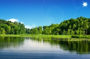上海诗社专稿 五律•炎夏 七律•清秋闲吟 专辑五【冰心文化传媒】（图22）