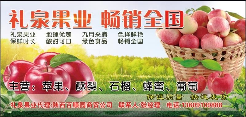 《全运会》赞《跳水冠军全红婵》文／王福兰（陕西西安）