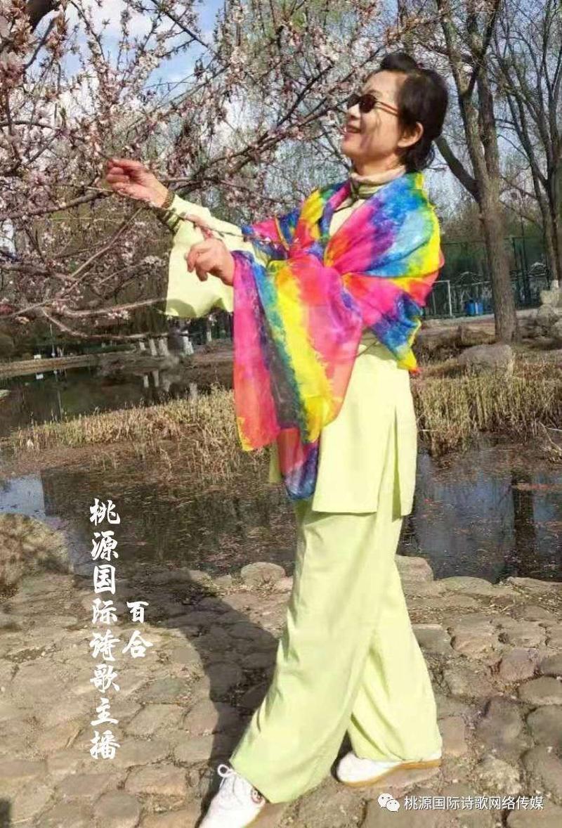 【桃源馨声】中秋月|作者:易生诗梦|主播:百合【总1005期】(图12)