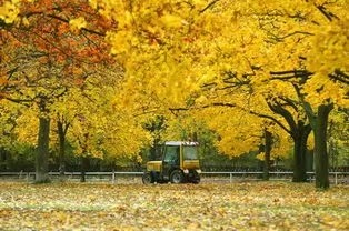 山谷幽兰朗诵《秋天组诗》作者/傅法轩（图3）
