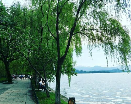 辛丑：秋分，文/李忠共，（图3）
