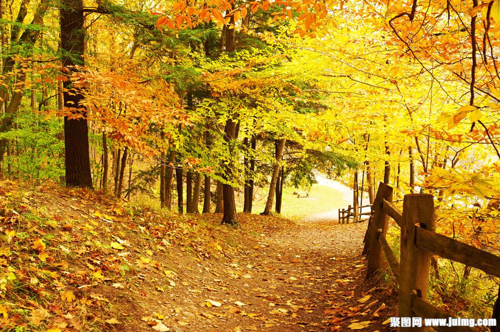 src=http_%2F%2Fimg1.juimg.com%2F150911%2F330592-1509111H03571.jpg&refer=http_%2F%2Fimg1.juimg.jpg