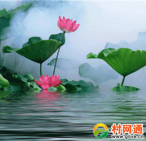 北美翰苑ll 01期＜分享社合辑＞海外头条（图4）