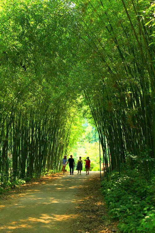 山乡农景（三首）文／江冲（图4）