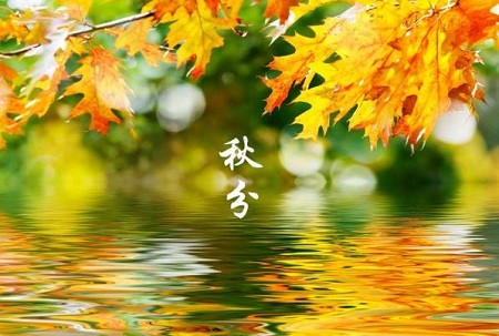 《节气》秋分：作者／李晓梅（陕西商洛）（图2）
