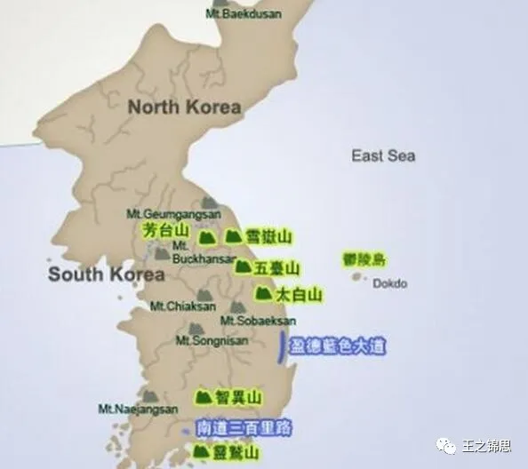 时隔七十年：一份“志愿军阵亡通知书”回家（图13）