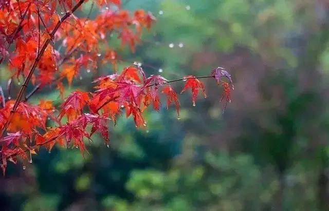 徐克〔浙江〕诗歌十首【冰心文化传媒】（图7）