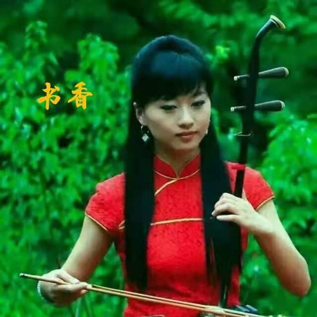 【长相思】《红楼十二钗》作者：书香【冰心文化传媒】（图14）