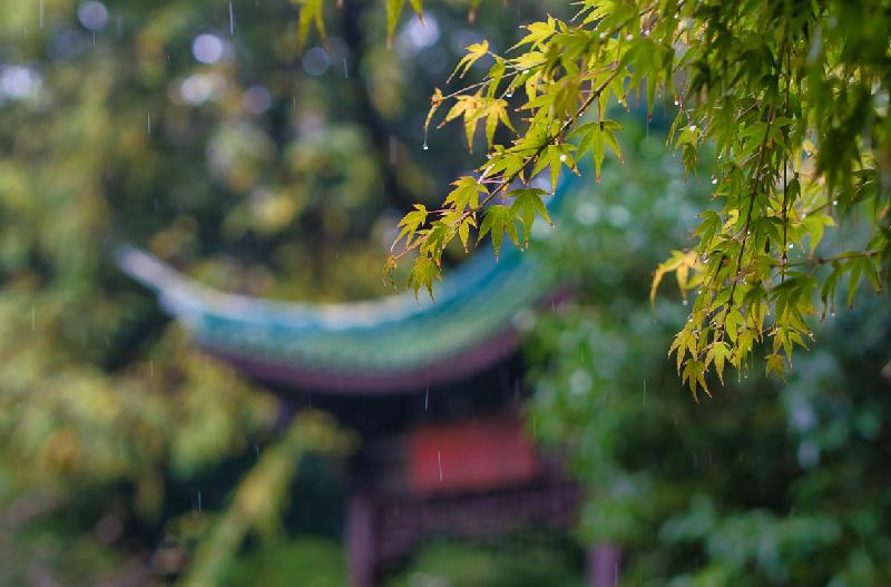 【新诗大观】秋雨夜眠||文/花惜柔（图4）
