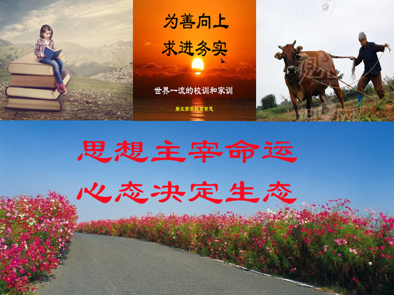 《思想主宰命运,心态决定生态》‖ 作者:唐王紫苏(图3)