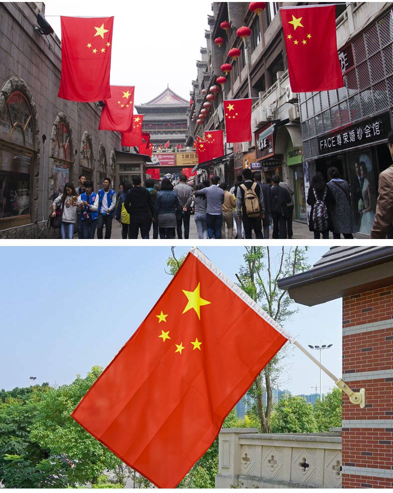 《百姓心声》老陕迎国庆:作者:王福兰(陕西西安)(图8)