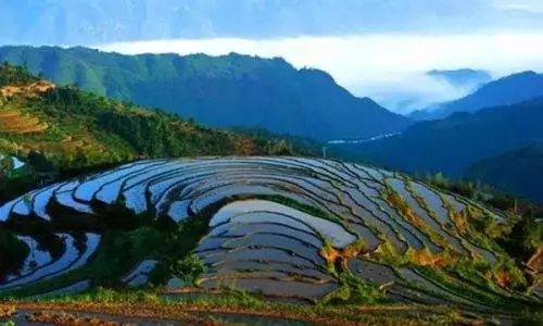 严峻诗歌《鹤岗抒情》欣赏金牌主播静远沐达情怀虹诵读编辑宋梅【中国长江文学社】有声文学平台第2629期(图14)