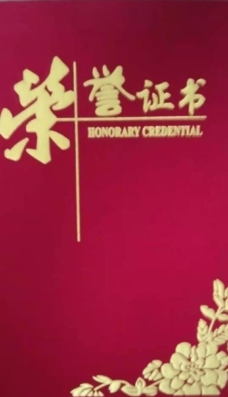 热烈庆贺西北城际头条评选活动圆满结束:作者/王福兰(陕西西安)(图3)