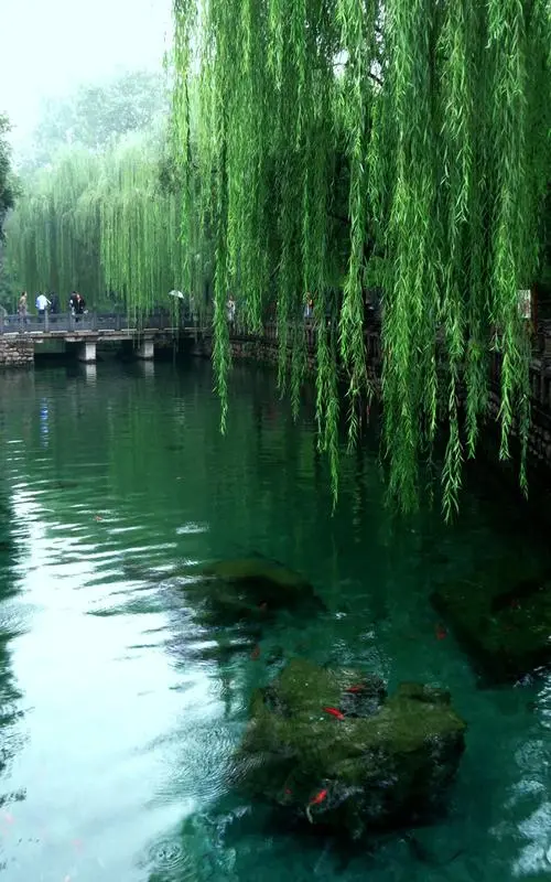 再话秋雨Ⅱ文/赵京江，图/网络（图5）