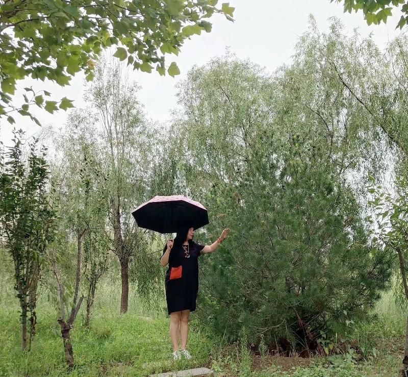 【新诗大观】秋雨||文/李宁（图4）