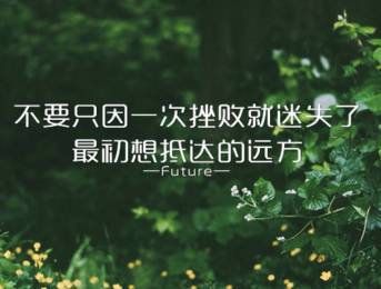 《突变论》的体验