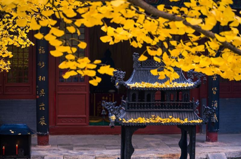 严峻诗歌欣赏,金牌主播张丽诵读,编辑:宋梅【中国长江文学社】有声文学平台第2645期(图6)