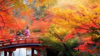山谷幽兰朗诵《秋,带走了激情的岁月》作者/庆福 编辑/胡琴(图4)