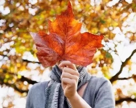山谷幽兰朗诵《秋,带走了激情的岁月》作者/庆福 编辑/胡琴