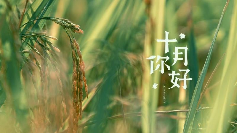 《庆国庆》十月：作者／李晓梅（陕西商洛）（图2）