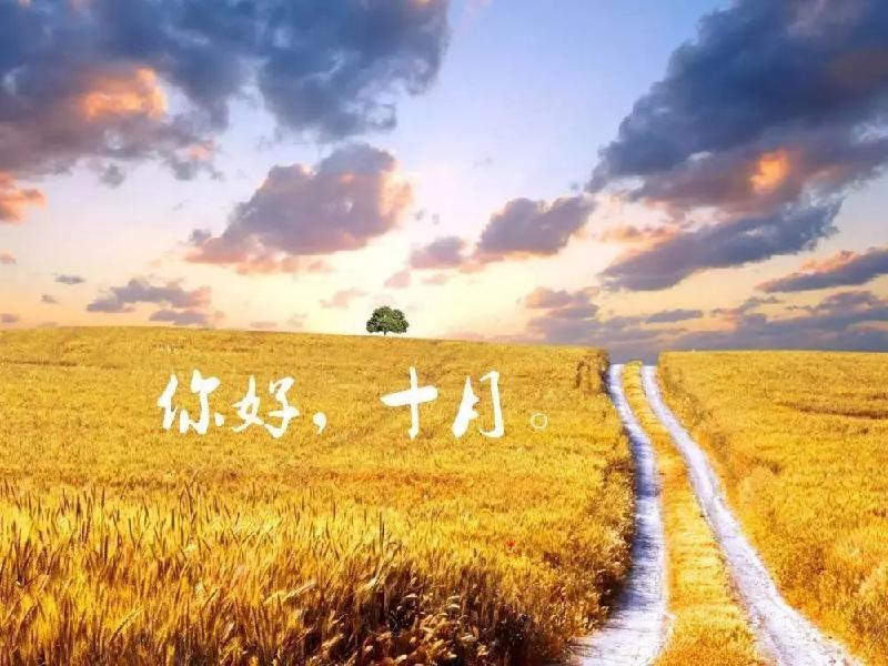 《庆国庆》十月：作者／李晓梅（陕西商洛）（图3）
