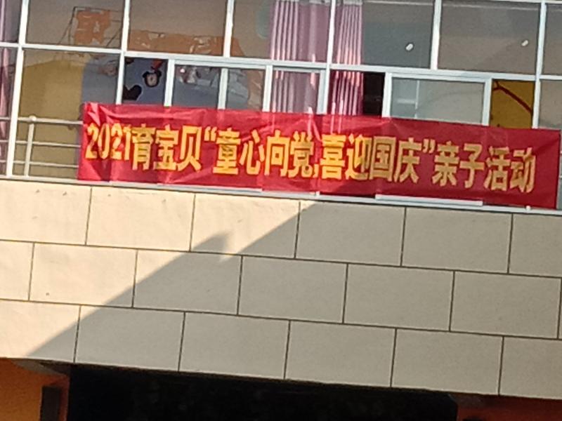 童心向党,喜迎国庆 2021肓宝贝幼儿园国庆“亲子”活动(图3)