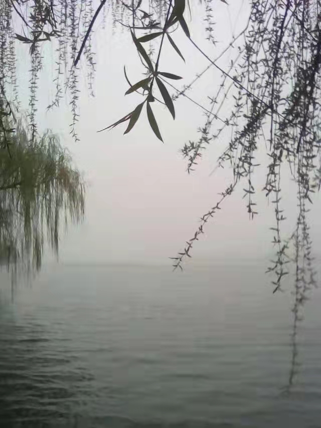 秋雨思Ⅱ文图/赵富元