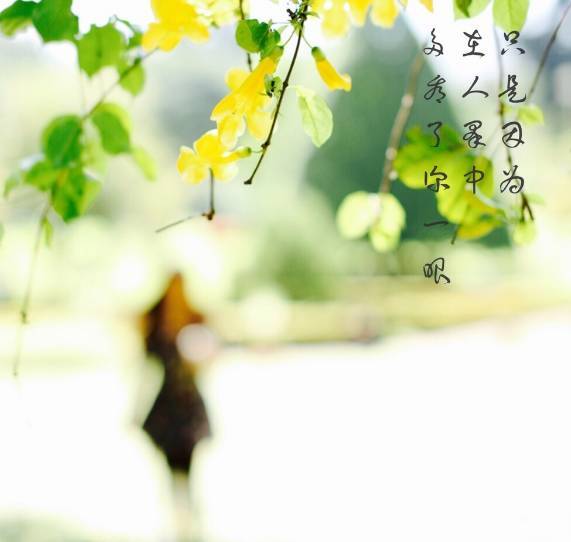 不是我不记得 ‖ 作者&诵读：江枫渔火(黑龙江)（图4）