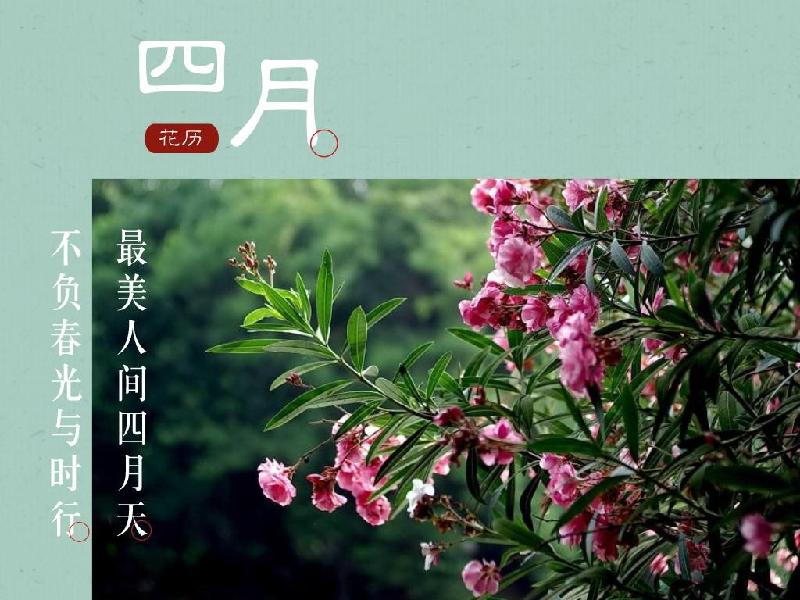 【都市头条】余建军七律专刊《二十》(图13)