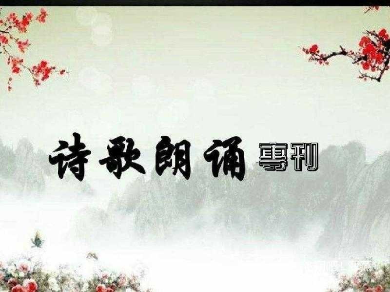 【桃源馨声】活着,活着,突然就不会活了|作者:水木|主播:玫瑰心【总1012期】(图3)