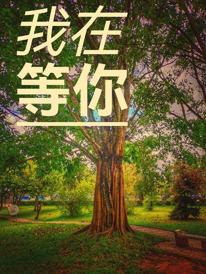 我在等你/作者 柳树庄/诵读 老菩提(图2)