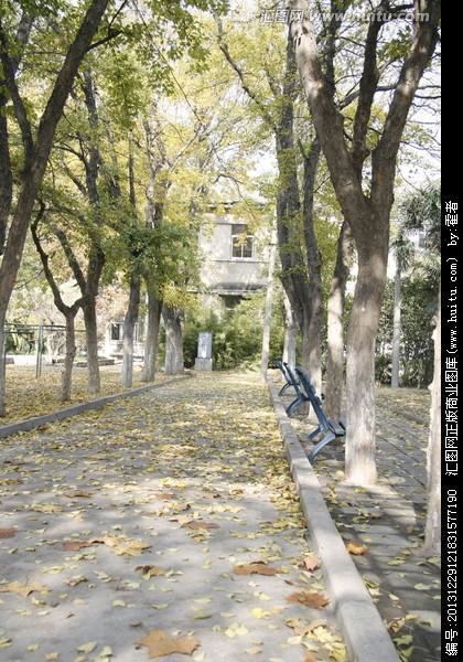 连云区星火诗社262期微刊《一任斜阳好个秋》(图14)