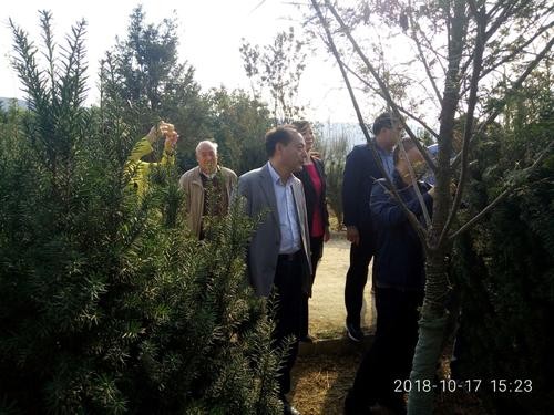 《初心》红星闪耀黑沟村:文图/刘钰(甘肃兰州)(图14)
