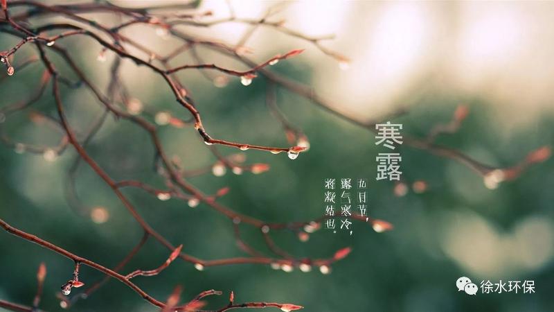 【枫雅汇看图约诗】诗人陈江《六十三》（寒露凝霜）（图5）