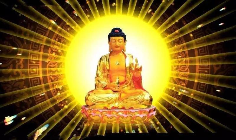 步瘦雁老师《朝圣》韵（外一首）——野蔷薇 京津沪头条（图2）