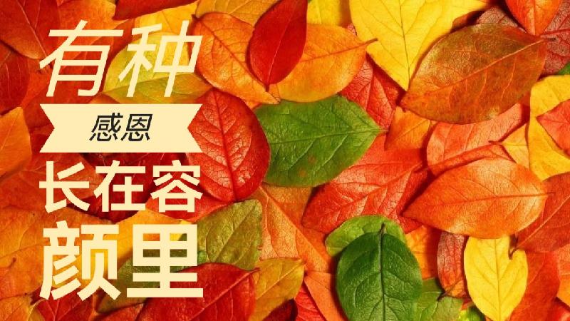 有种感恩,长在容颜里/文 张凤玲/诵 老菩提(图2)