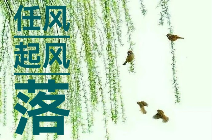 有种感恩,长在容颜里/文 张凤玲/诵 老菩提(图7)