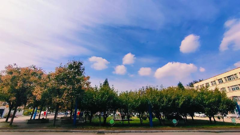 【新诗大观】练习||文/最美的时光||摄影/阿涛（图3）