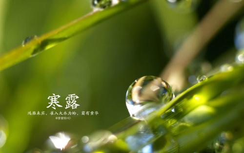 五律•咏寒露 王世泽 北京（图2）