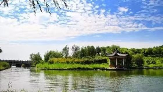 《我的家乡起凤镇鱼一村》 文/夕颜(山东)【冰心文化传媒】(图15)