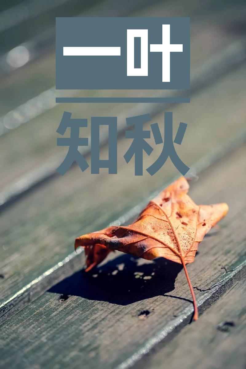 婧暄诗歌 ll咏秋(外一首)ll诵读 有一天 茶香(图6)