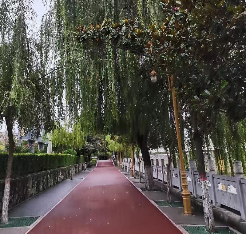 《纪实散文》冬天来了:文/李晓梅(陕西商洛)(图5)