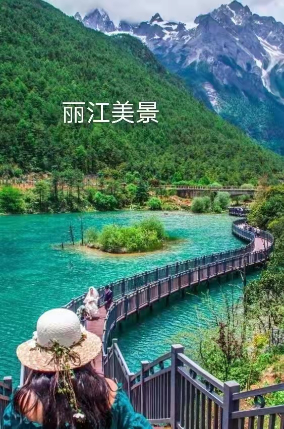 赞丽江古城：作者丁培恭｜海外头条（图8）