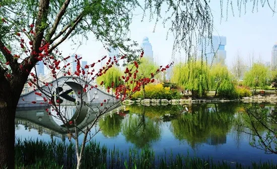 【新山东文学社】《祖国之美》作者/子兰 主播/清风（图9）