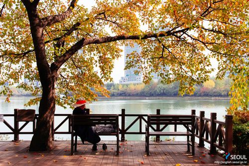 【新山东文学社】《秋天的渡口》作者/大浪淘沙 主播/吴涵伟（图5）