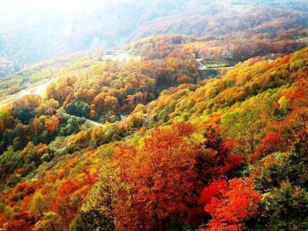 难忘的岁月 3、4文/曹文有(山西)(图2)
