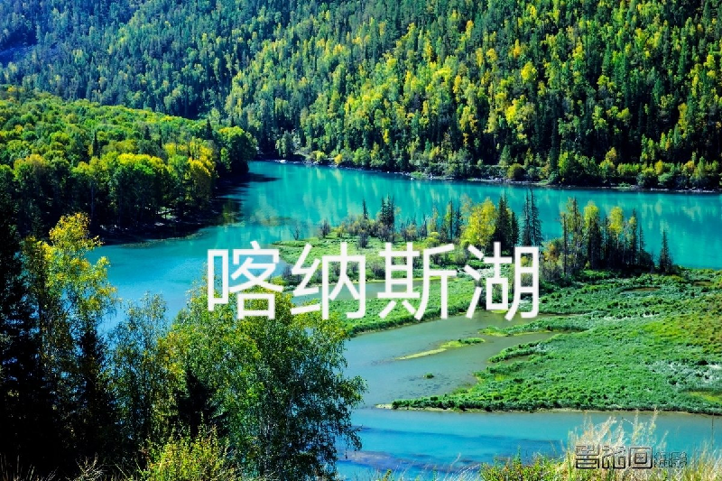 喀纳斯湖：作者丁培恭｜海外头条（图2）